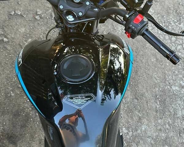 Чорний Геон Pantera 250, об'ємом двигуна 0 л та пробігом 6 тис. км за 1335 $, фото 7 на Automoto.ua