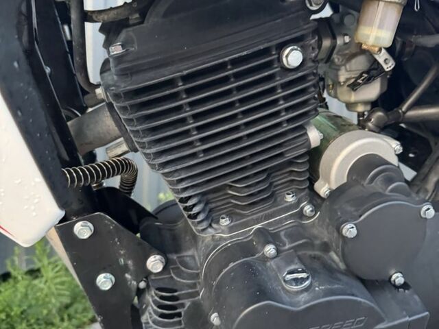 Геон Pantera 250, объемом двигателя 0.22 л и пробегом 0 тыс. км за 1200 $, фото 6 на Automoto.ua