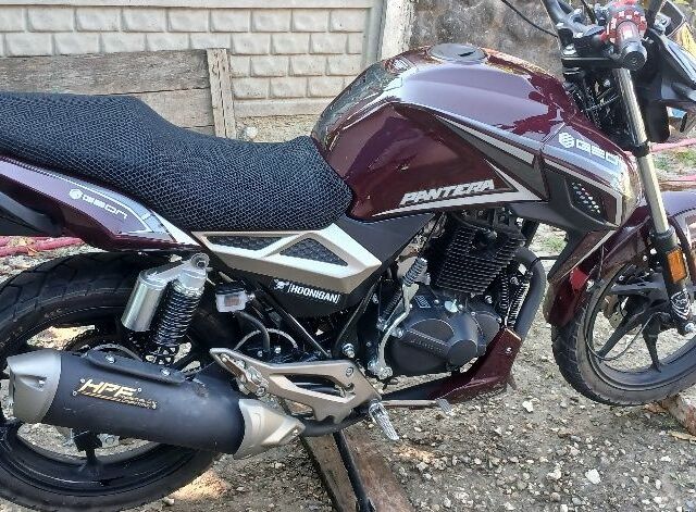 Геон Pantera 250, объемом двигателя 0.25 л и пробегом 0 тыс. км за 1550 $, фото 5 на Automoto.ua