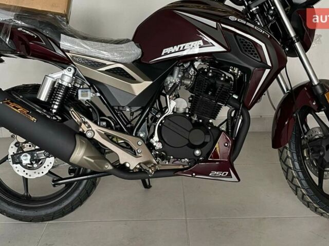 купити нове авто Геон Pantera 250 2025 року від офіційного дилера MotoHub Геон фото