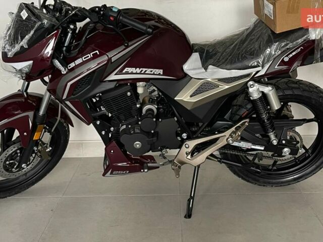 купити нове авто Геон Pantera 250 2025 року від офіційного дилера MotoHub Геон фото