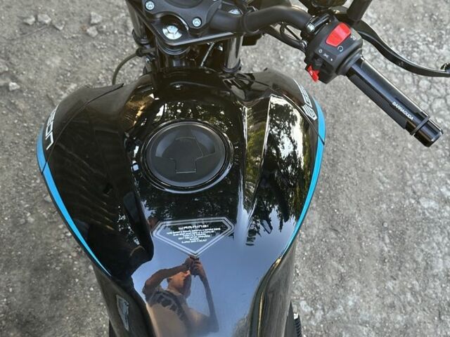 Геон Pantera 250, об'ємом двигуна 0.25 л та пробігом 0 тис. км за 1336 $, фото 6 на Automoto.ua