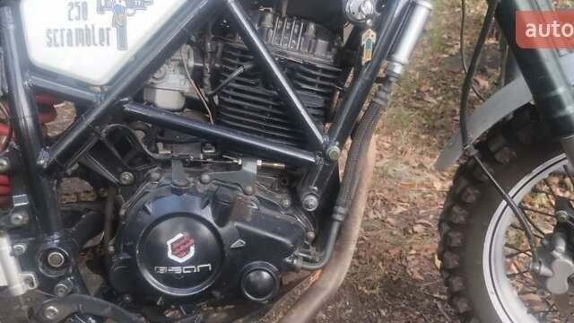 Білий Геон Scrambler, об'ємом двигуна 0.25 л та пробігом 36 тис. км за 1100 $, фото 3 на Automoto.ua