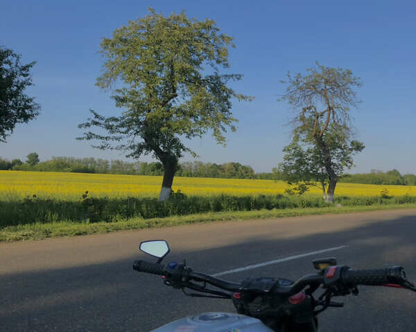 Серый Геон Scrambler, объемом двигателя 0.22 л и пробегом 11 тыс. км за 1450 $, фото 2 на Automoto.ua