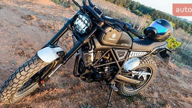 Геон Scrambler II 300, объемом двигателя 0.3 л и пробегом 2 тыс. км за 2400 $, фото 7 на Automoto.ua