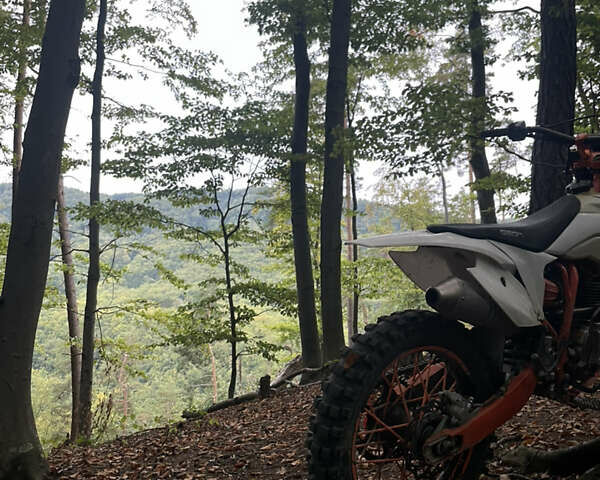 Білий Геон Terra-X 250, об'ємом двигуна 0.25 л та пробігом 5 тис. км за 1200 $, фото 2 на Automoto.ua