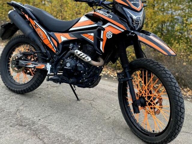 Геон X-Line, об'ємом двигуна 0.25 л та пробігом 0 тис. км за 1250 $, фото 2 на Automoto.ua