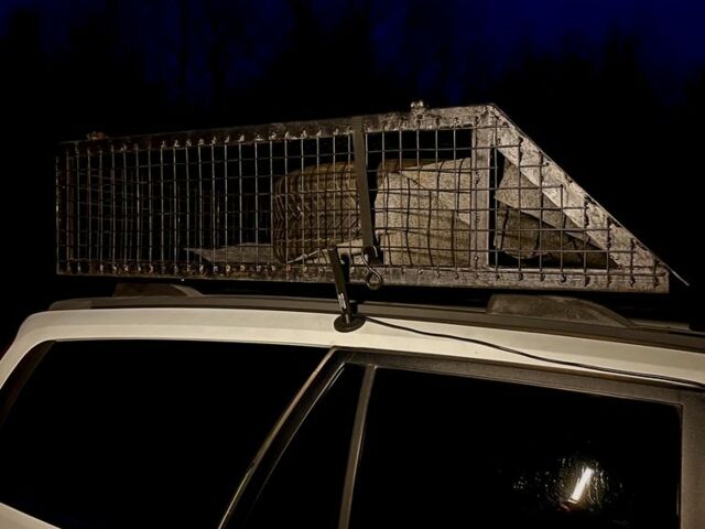 Білий Грейт Вол Hover, об'ємом двигуна 2.4 л та пробігом 10 тис. км за 5200 $, фото 3 на Automoto.ua