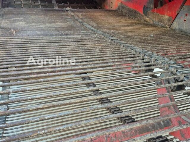 Красный Гримме СЕ, объемом двигателя 0 л и пробегом 0 тыс. км за 74102 $, фото 6 на Automoto.ua