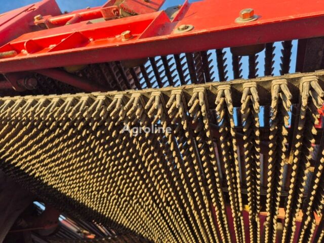 Красный Гримме СЕ, объемом двигателя 0 л и пробегом 0 тыс. км за 75533 $, фото 9 на Automoto.ua