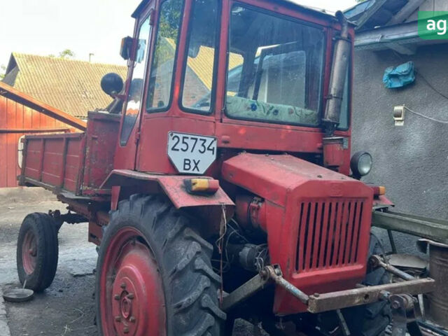 ХТЗ Т-16, об'ємом двигуна 0 л та пробігом 0 тис. км за 2262 $, фото 3 на Automoto.ua