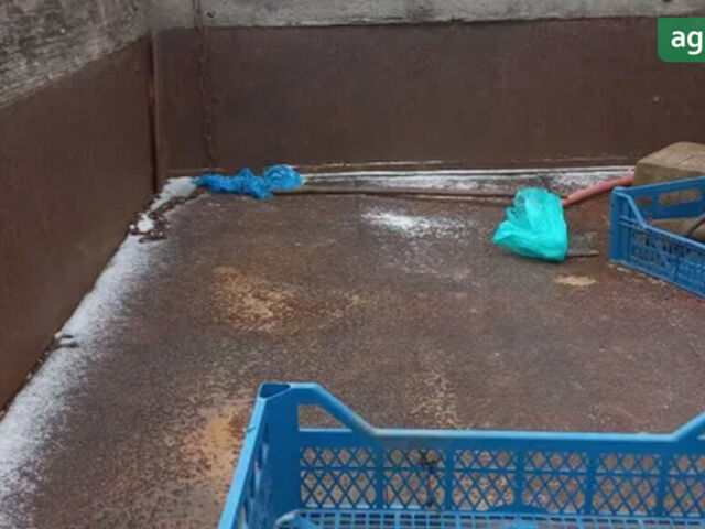 ХТЗ Т-16, объемом двигателя 2.08 л и пробегом 0 тыс. км за 1065 $, фото 6 на Automoto.ua