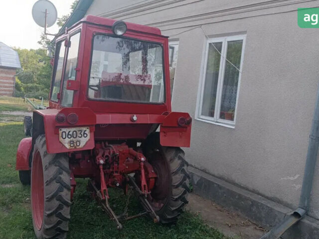 ХТЗ Т-25 1978 у Тернополі на Automoto.ua ХТЗ Т-25, об'ємом двигуна 2.08 л та пробігом 0 тис. км за 3600 $, фото 2 на Automoto.ua