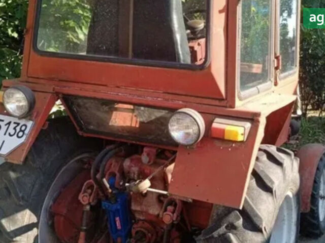 ХТЗ Т-25, об'ємом двигуна 2.01 л та пробігом 0 тис. км за 5500 $, фото 3 на Automoto.ua