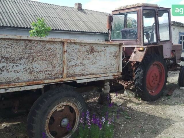 ХТЗ Т-25, объемом двигателя 0.21 л и пробегом 4 тыс. км за 3519 $, фото 2 на Automoto.ua