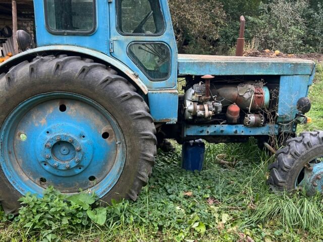 Синій ХТЗ Т-40, об'ємом двигуна 4 л та пробігом 10 тис. км за 3800 $, фото 2 на Automoto.ua