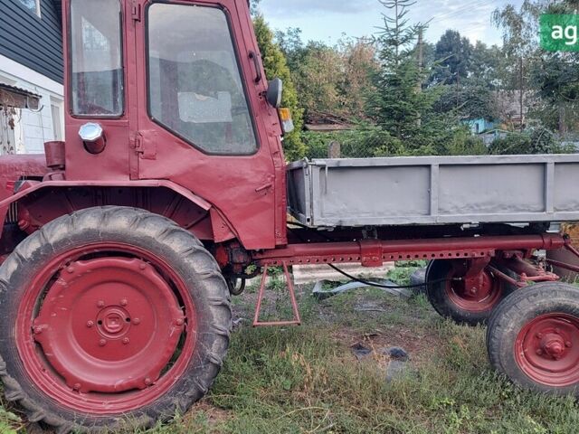 ХТЗ Т-16М, об'ємом двигуна 2.1 л та пробігом 0 тис. км за 1213 $, фото 1 на Automoto.ua