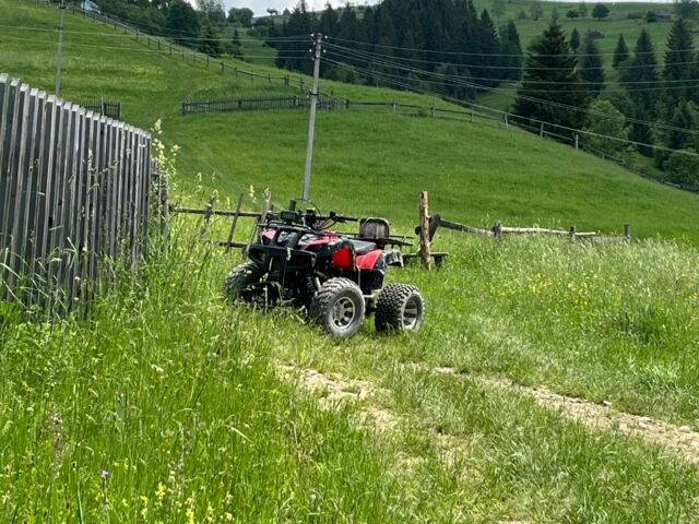 Хеймер 250, об'ємом двигуна 0.25 л та пробігом 0 тис. км за 1200 $, фото 4 на Automoto.ua