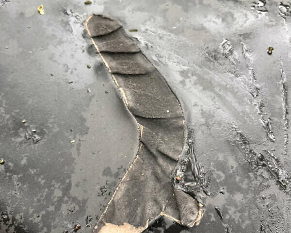 Серый Хаммер 200, объемом двигателя 0 л и пробегом 1 тыс. км за 2550 $, фото 5 на Automoto.ua