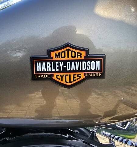 Сірий Харлей-Девідсон ФЛХКС, об'ємом двигуна 1.69 л та пробігом 30 тис. км за 14500 $, фото 7 на Automoto.ua