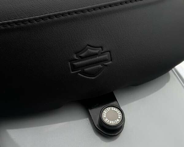 Сірий Харлей-Девідсон ФЛХКС, об'ємом двигуна 1.92 л та пробігом 6 тис. км за 29900 $, фото 8 на Automoto.ua