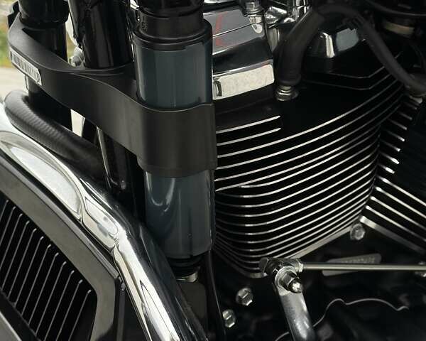 Сірий Харлей-Девідсон ФЛХКС, об'ємом двигуна 1.92 л та пробігом 6 тис. км за 29900 $, фото 23 на Automoto.ua