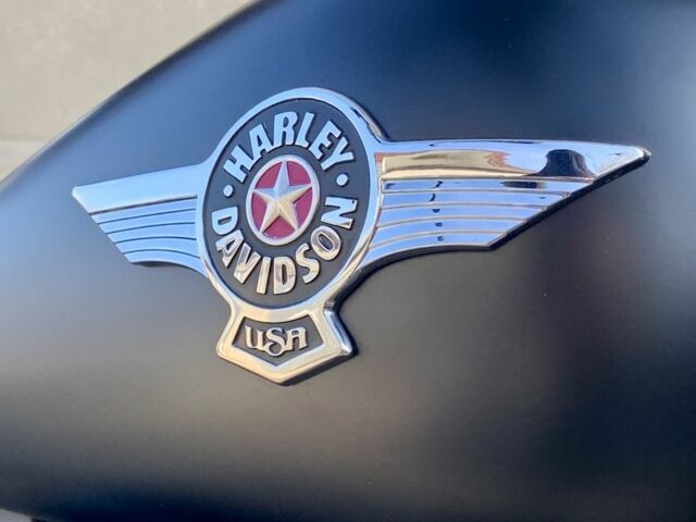 Харлей-Дэвидсон Другая, объемом двигателя 1.69 л и пробегом 0 тыс. км за 11900 $, фото 4 на Automoto.ua