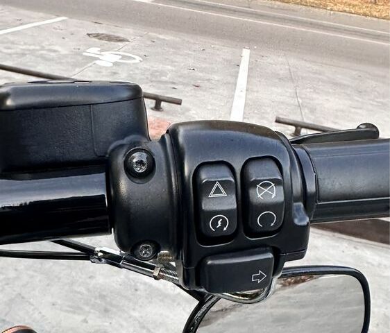 Харлей-Дэвидсон Другая, объемом двигателя 1.2 л и пробегом 0 тыс. км за 12000 $, фото 8 на Automoto.ua