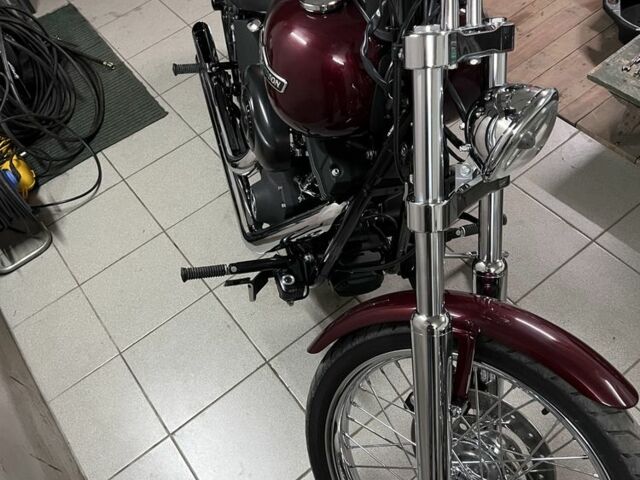 Харлей-Девідсон Інша, об'ємом двигуна 1.6 л та пробігом 0 тис. км за 14100 $, фото 3 на Automoto.ua