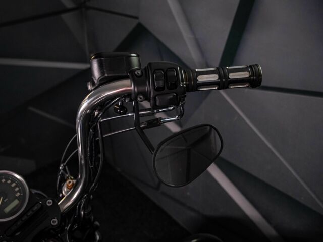 Харлей-Девідсон Інша, об'ємом двигуна 1.25 л та пробігом 0 тис. км за 11000 $, фото 16 на Automoto.ua