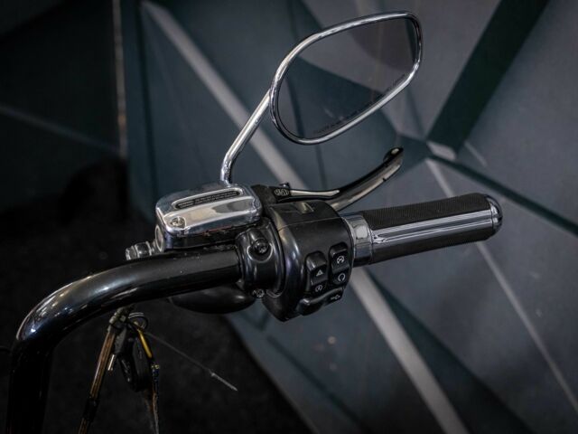 Харлей-Девідсон Інша, об'ємом двигуна 1.8 л та пробігом 0 тис. км за 20000 $, фото 17 на Automoto.ua