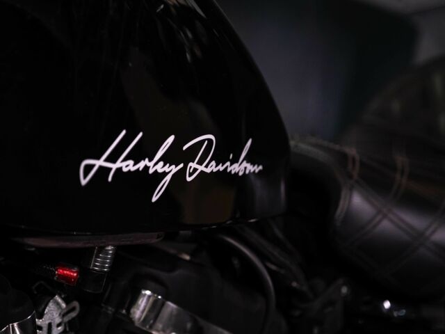 Харлей-Девідсон Інша, об'ємом двигуна 1.2 л та пробігом 0 тис. км за 10500 $, фото 19 на Automoto.ua