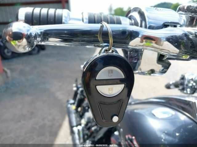 Харлей-Девідсон Інша, об'ємом двигуна 1.92 л та пробігом 0 тис. км за 8000 $, фото 10 на Automoto.ua