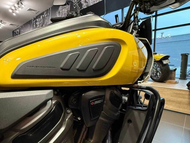 Харлей-Дэвидсон Другая, объемом двигателя 1.25 л и пробегом 0 тыс. км за 19036 $, фото 8 на Automoto.ua