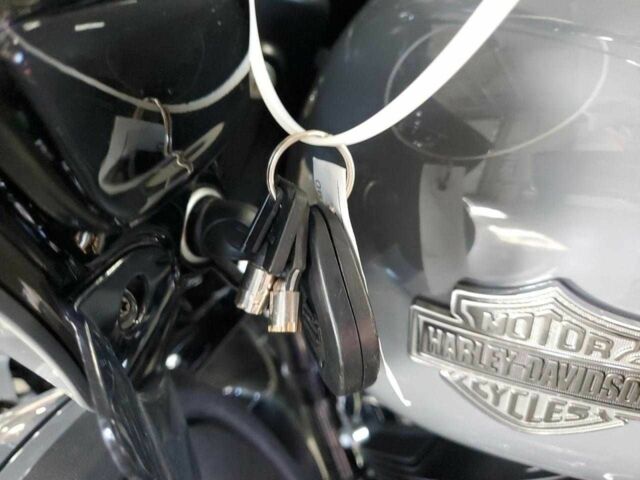 Харлей-Девідсон Інша, об'ємом двигуна 1.8 л та пробігом 0 тис. км за 9000 $, фото 7 на Automoto.ua
