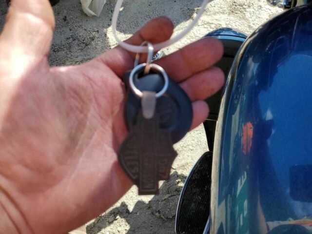 Харлей-Девідсон Інша, об'ємом двигуна 1.8 л та пробігом 0 тис. км за 1800 $, фото 7 на Automoto.ua