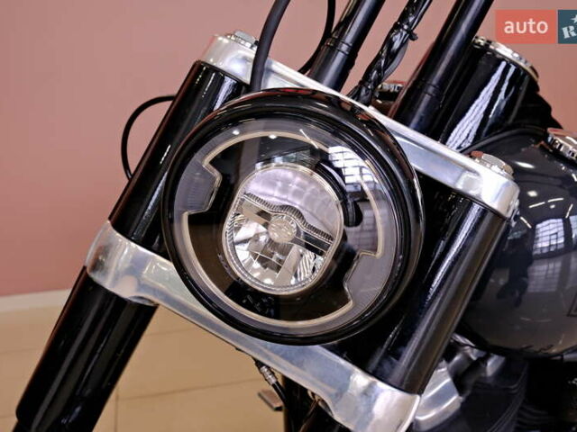 Серый Харлей-Дэвидсон FLSL, объемом двигателя 1.7 л и пробегом 18 тыс. км за 16900 $, фото 12 на Automoto.ua