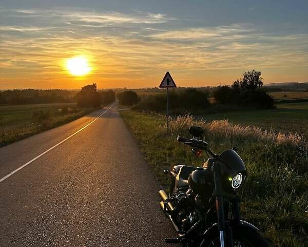 Красный Харлей-Дэвидсон Low Rider	, объемом двигателя 1.87 л и пробегом 24 тыс. км за 23199 $, фото 4 на Automoto.ua