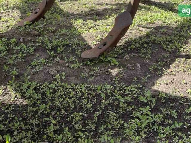 Хаценбіхлер Дельта, об'ємом двигуна 0 л та пробігом 0 тис. км за 5000 $, фото 5 на Automoto.ua