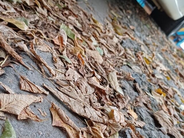 Білий Хонда Аккорд, об'ємом двигуна 2.4 л та пробігом 223 тис. км за 9300 $, фото 6 на Automoto.ua