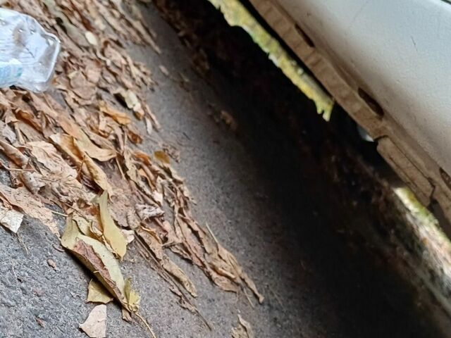 Білий Хонда Аккорд, об'ємом двигуна 2.4 л та пробігом 223 тис. км за 9300 $, фото 7 на Automoto.ua