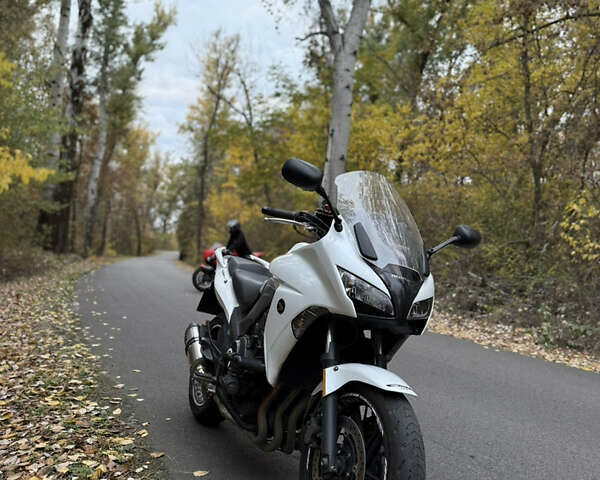 Белый Хонда CBF 1000, объемом двигателя 1 л и пробегом 53 тыс. км за 7500 $, фото 2 на Automoto.ua