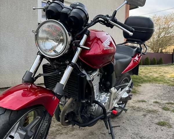 Хонда CBF 500, объемом двигателя 0 л и пробегом 43 тыс. км за 3300 $, фото 1 на Automoto.ua
