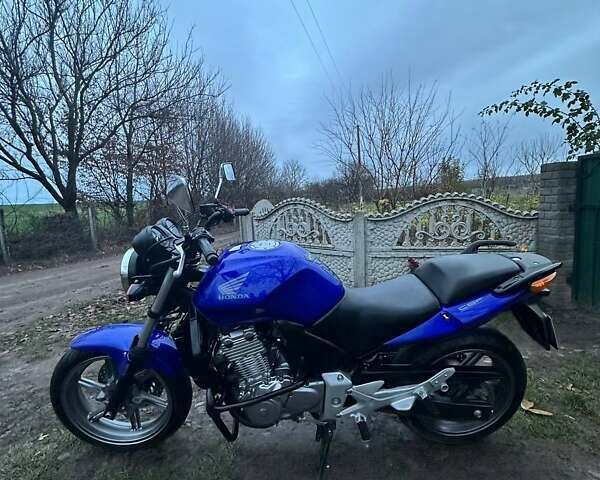 Синий Хонда CBF 500, объемом двигателя 0.5 л и пробегом 37 тыс. км за 3350 $, фото 3 на Automoto.ua