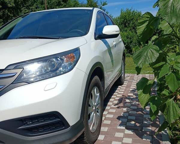 Білий Хонда СРВ, об'ємом двигуна 2 л та пробігом 232 тис. км за 14500 $, фото 3 на Automoto.ua
