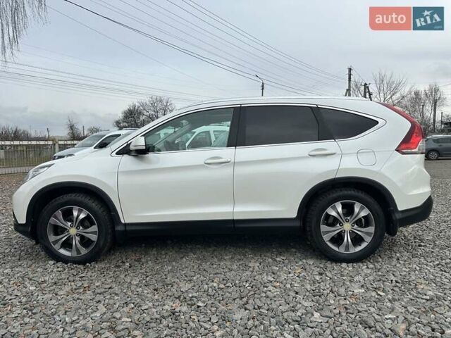 Белый Хонда СРВ, объемом двигателя 2.4 л и пробегом 185 тыс. км за 18000 $, фото 7 на Automoto.ua