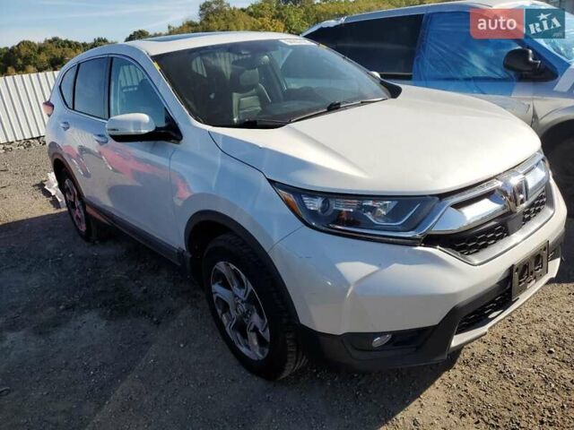 Хонда СРВ 2019 в Житомире на Automoto.ua Белый Хонда СРВ, объемом двигателя 1.5 л и пробегом 116 тыс. км за 8500 $, фото 1 на Automoto.ua