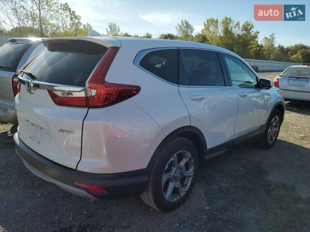 Хонда СРВ 2019 в Житомире на Automoto.ua Белый Хонда СРВ, объемом двигателя 1.5 л и пробегом 116 тыс. км за 8500 $, фото 3 на Automoto.ua