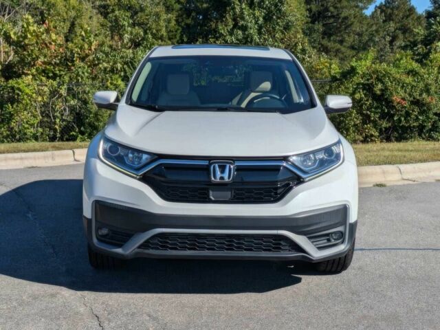 Белый Хонда СРВ, объемом двигателя 1.5 л и пробегом 26 тыс. км за 9300 $, фото 1 на Automoto.ua