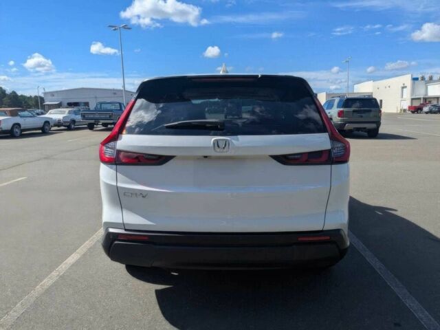 Білий Хонда СРВ, об'ємом двигуна 1.5 л та пробігом 10 тис. км за 10400 $, фото 4 на Automoto.ua